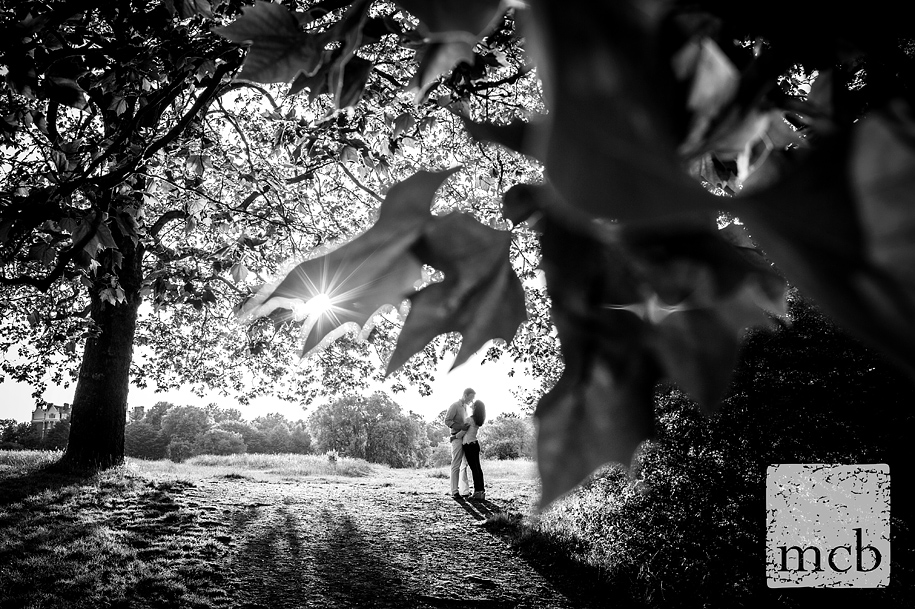 Hampstead Heath engagement shoot The sun bursts through the leaves in a romantic shot of the engaged couple on Hampstead Heath