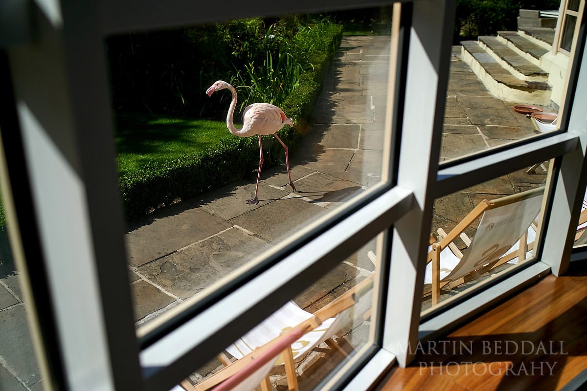 Kensington Roof Gardens flamingo