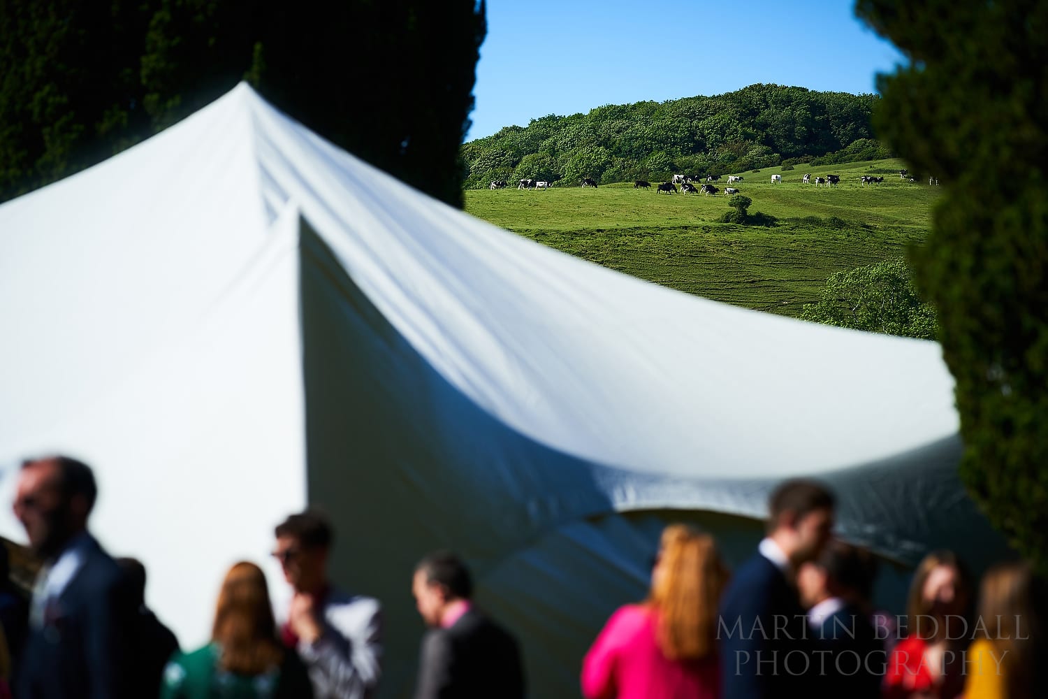 Wedding in the Dorset countryside