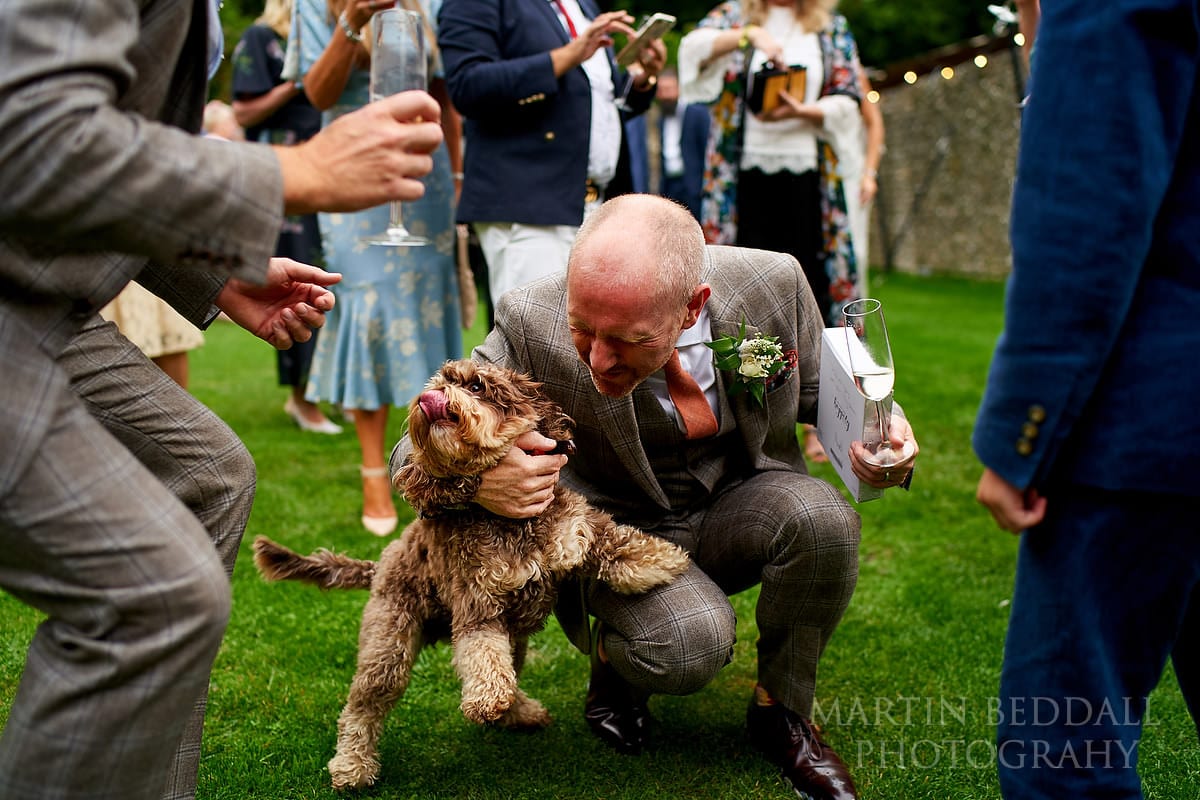 Grooms' dog visits the wedding reception