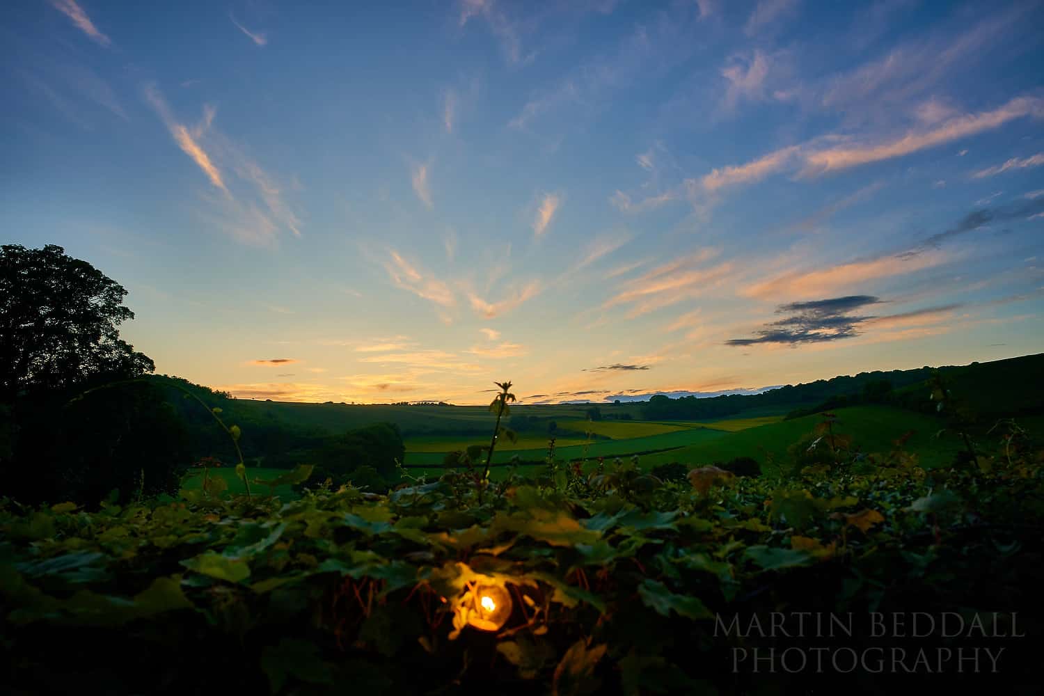 wedding in Dorset at Plush Manor