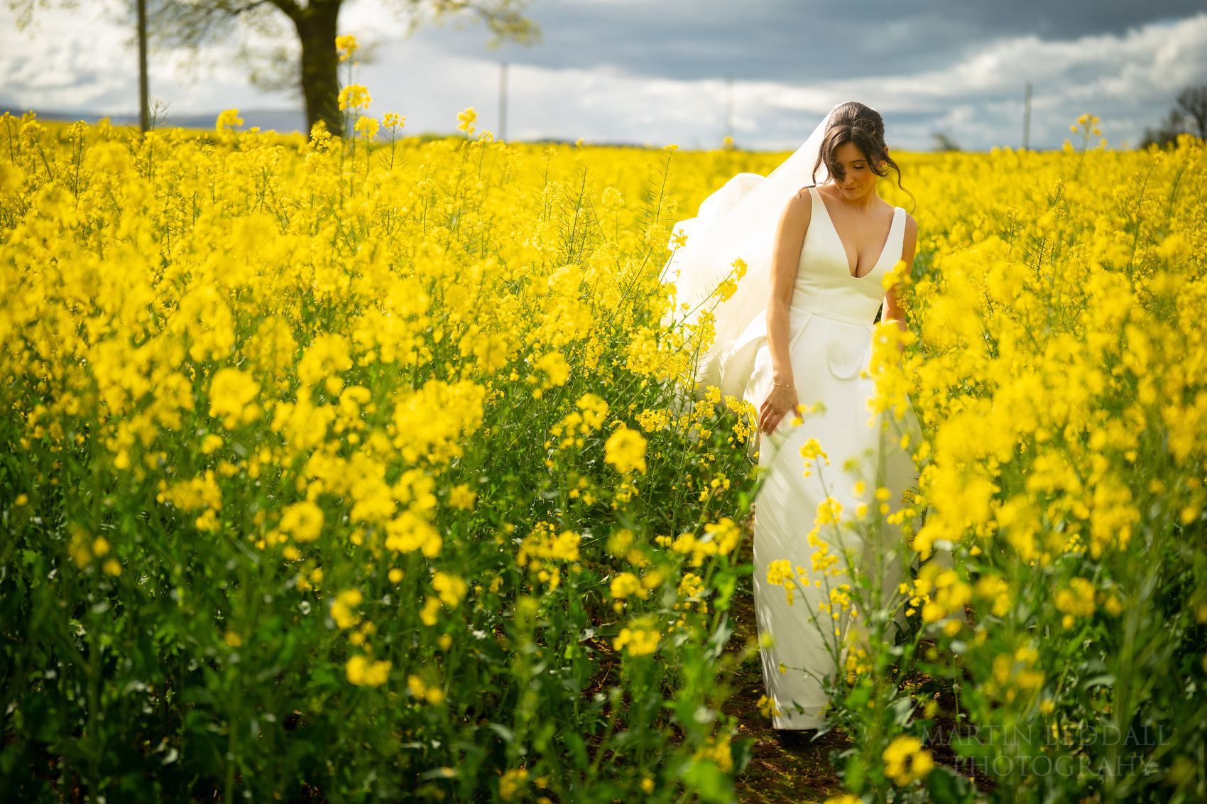 Llantilio House wedding photography