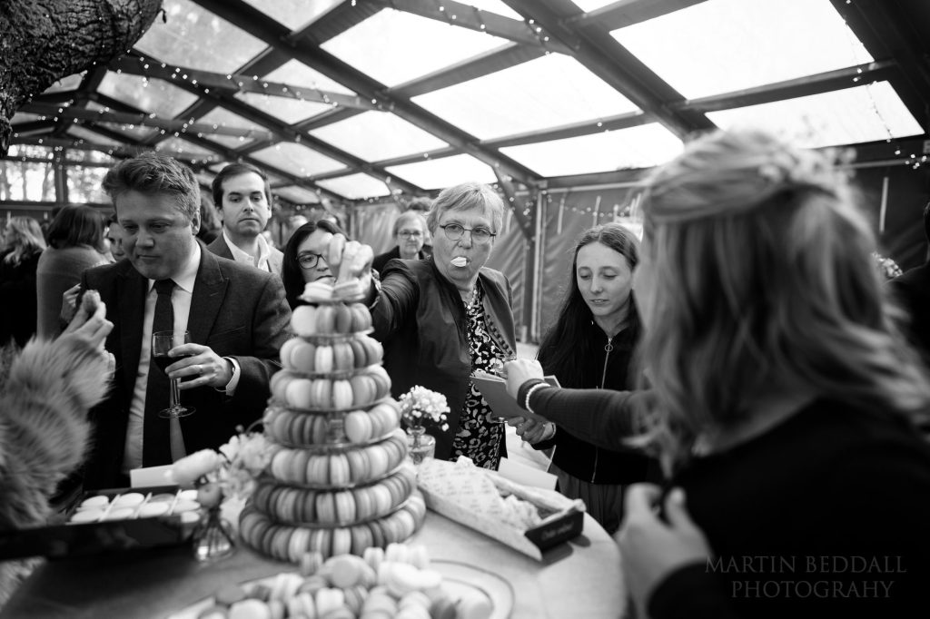 cake